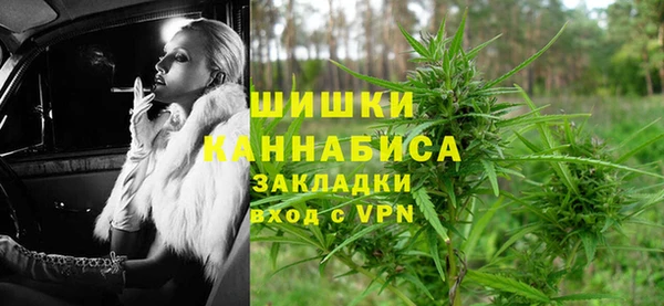 индика Балабаново