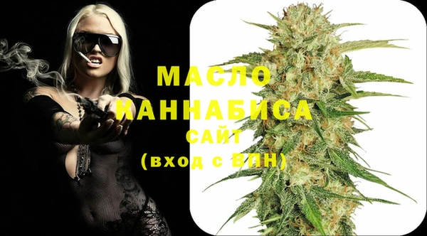 индика Балабаново