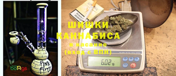 индика Балабаново