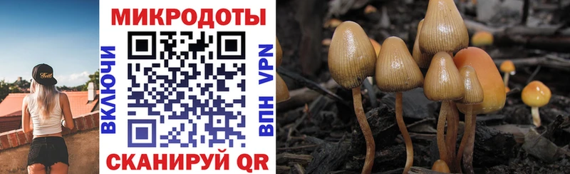 Галлюциногенные грибы мицелий  цена   OMG как зайти  Знаменск 